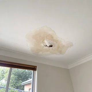 White ceiling with a brown water stain and bubbling paint